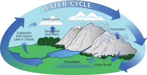 Oval illustration of the water cycle with arrows going around the edge showing the flow.