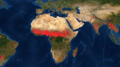 This color map shows Africa, portions of the Middle East, and Southern Europe. The Northern third of Africa is colored in shades of tan to highlight the desert regions. The middle of Africa is covered in red dots to indicate where fires have been detected. The Southern portion of Africa is green to reflect the more humid, vegetation-rich areas.