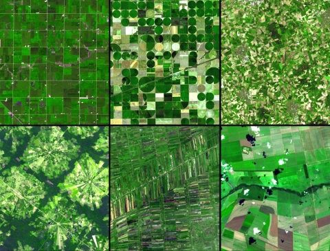 six-panel image of planted green fields acquired by satellite