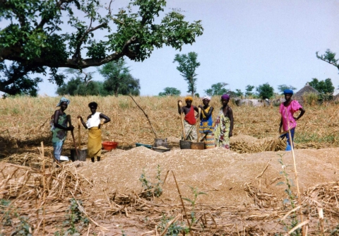 Women in the West African country of Senegal take a break from crushing millet. The United Nations World Food Program estimates that 46 percent of households in Senegal lack reliable access to adequate amounts of food. Credit: Molly Brown