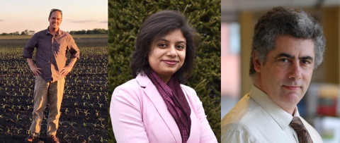 Three part image with man in field, woman standing in front of foliage, and headshot of man in office.