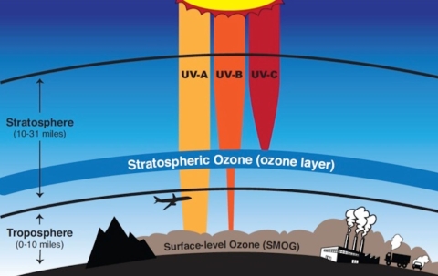 Miles above the surface of the Earth, a thin layer of ozone gas acts as a shield that protects us from harmful ultraviolet light. Credit: NASA