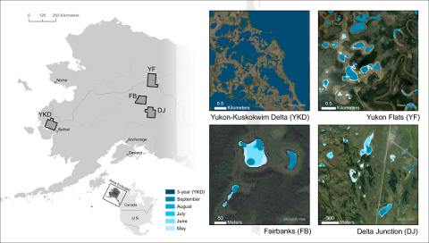 This image shows four subregions of Alaska (left) with example of lakes and ponds derived from PlanetScope imagery (right). Lake and pond extents include monthly climatological composites (May - September) and 3-year composites for 2019-2021. The inset for the Fairbanks (FB) region shows a close-up of the water extents overlain on sub-meter Esri base map imagery. The Yukon Flats (YF) inset shows variability in surface area of large lakes. The Delta Junction (DJ) inset shows seasonal changes in the area of s