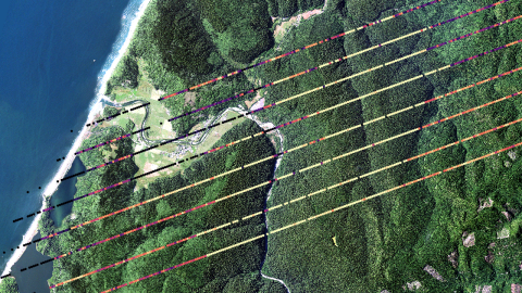 This image shows Version 2 GEDI L2A Canopy Top Height (rh100) over Redwoods National Park, California, USA from June 19, 2019, with USDA NAIP imagery from 2020 as a basemap.