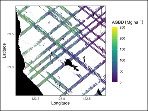 This image shows an example subset of aboveground biomass density predictions from the GEDI Level 4A footprint product over Northern California spanning April to July 2019. The green and yellow areas indication the location of high aboveground biomass density, while blues and purples show the lowest.
