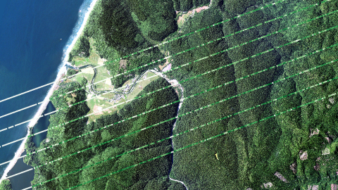 This image shows footprints of the GEDI lasers over Redwoods National Park in California on June 19, 2019. The base map is USDA National Agriculture Imagery Program imagery from 2020. The footprints appear as white lines moving diagonally over a forested landscape.