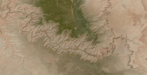 Clear sky image of the Grand Canyon at 30-meter resolution; canyon winds through center of image with greenish area at top of image