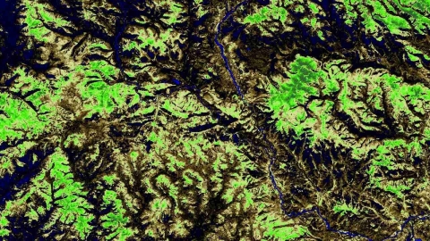 An image of ECOSTRESS vegetation data in northern Mongolia 