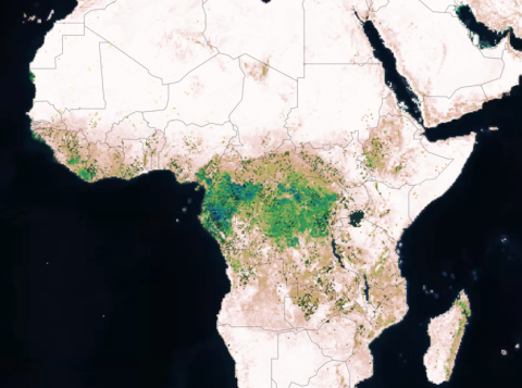 MAAP image of Africa with green areas in center of continent indicating areas of higher biomass concentrations 