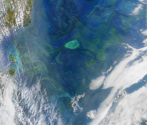 Image showing the Tasman Sea off the southeast coast of Australia. Swirls of blue/green indicate concentrations of phytoplankton. A bright green swirl in the middle of the image indicates a high concentration of phytoplankton in an eddy.