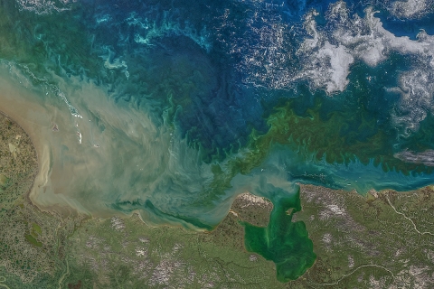 Image of the coast of the East Siberian Sea with swirls of green color mixed in with deep blue water. Areas of brown sediment hug the coast.
