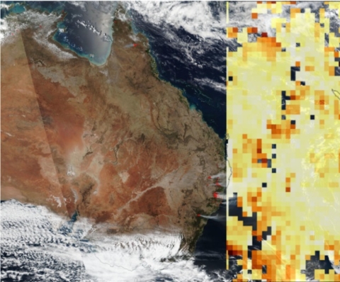 Composite image showing a screenshot from an ASDC microarticle about the Australian wildfires. Left image shows thermal anomalies as red dots on a Suomi NPP true-color image. Right image is a MISR AOD image with yellow and red colors indicating decreased AOD due to wildfires.