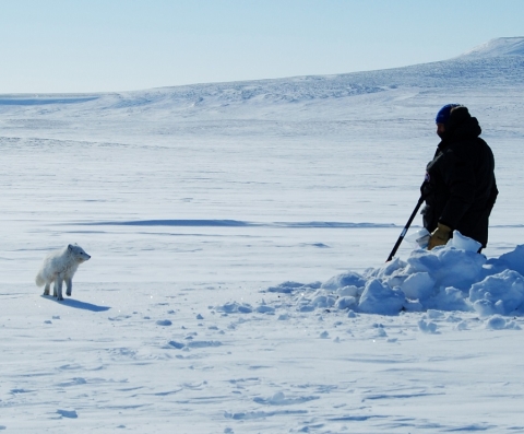 Dr. Ludovic Brucker conducting snow measurements