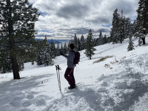 Image of person on skis on a snowy slope holding a cell phone to record precipitation phase information.