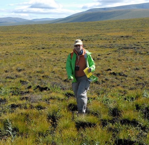 Dr. Nancy French walking a sampling transect.