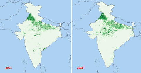 Winter cropped area in India, 2001 and 2016.