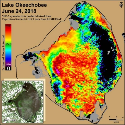 Lake Okeechobee CI image
