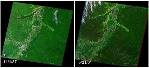 Side-by-side images of Iquitos, Peru. Left image from 1987 shows more dark green than right image from 2001. North pointer arrow and image dates appear in lower left corner of both images.