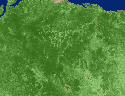 Screenshot of MOD13A1 data visualization over Brazil.