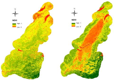 Screenshot of Normalized Difference Vegatation Index of King Fire area of burn.