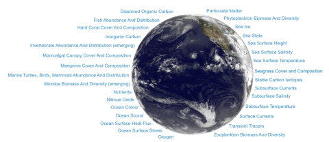 Essential Ocean Variables as defined by the Global Ocean Observing System. EOVs are focused on the physics of the ocean system, the biogeochemistry, and the biology and ecosystems.