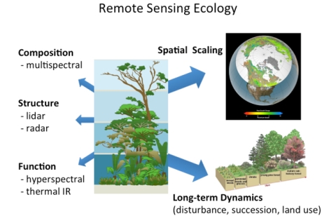 Ecological variables can be measured using multiscale remote sensing, modeling, and advanced analytical techniques. The type of instrument (active versus passive) and whether it operates in the visible, infrared, thermal infrared, and microwave portions of the electromagnetic spectrum allows for discerning different variables.