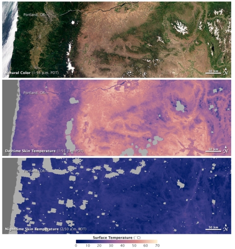 Satellite images show the relationship between the characteristics of a landscape, and day and night surface skin temperature. Heavily forested areas remain relatively cool throughout the day, while barren and arid areas can be tens of degrees warmer. These images were acquired in the early morning and afternoon of July 6, 2011.