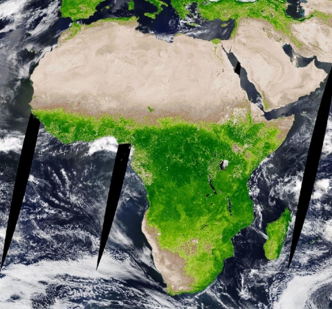 Image of Africa and the Middle East. Lower half of Africa is bright green, indicating healthy vegetation. The northern quarter of Africa and the Middle East is brown, indicating sparse or unhealthy/stressed vegetation.