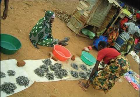 Lake Taganyika sardines