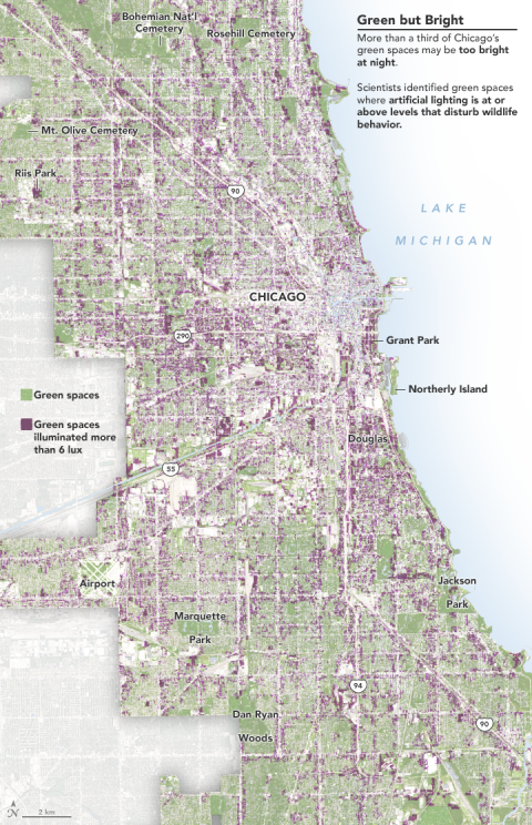 Map of where electric light pollution in Chicago is likely to have the largest effect on wildlife. The image shows the green spaces in Chicago and whether they are above or below light levels of 6 lux, the minimum light level where researchers observed behavior changes. Credit: NASA Earth Observatory