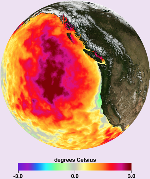 Picture of a globe showing a sample of data available from MUR-SST, sea surface temperatures in the Pacific Ocean.