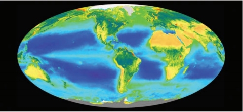 SeaWiFS phytoplankton