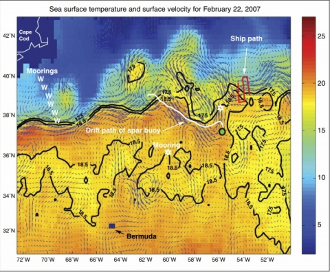Bermuda sea surface temperature