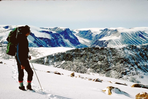 Dr. Barry on Baffin Island, Canada