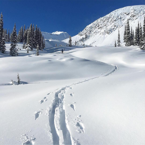Trail made through snow by someone walking.