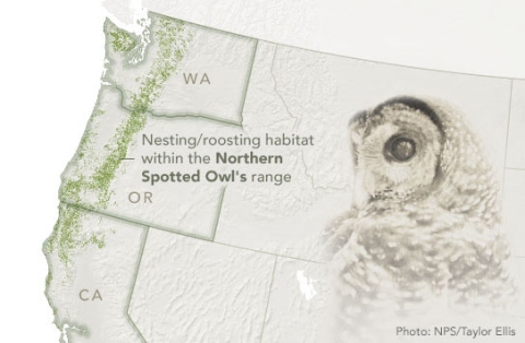 Map showing the area of study covered by U.S. Forest Service study of Northern Spotted Owls.