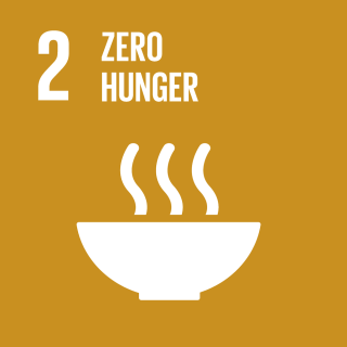 SDG 2: Zero Hunger Logo
