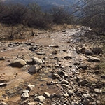 This is an image of a seasonal river. 