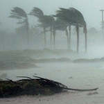 This is an image of a very windy beach. 