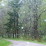 This is an image of snow falling. 