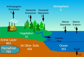 This is a diagram showing the modern mercury cycle with major reservoirs in white (gigagrams of mercury) and exchanges between reservoirs in black (gigagrams of mercury per year). Northern Hemisphere permafrost contains 863 gigagrams of mercury in the Active Layer, the layer of ground that is subject to annual thawing and freezing. About 793 gigagrams of mercury is found in Northern Hemisphere permafrost.