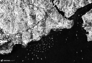 Black and white image of coast with water on right and land on left; numerous ships are in the water.