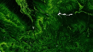 This GLanCE Enhanced Vegetation Index amplitude image, which was acquired over Montrose, Colorado on July 1, 2004, shows dense, dark green vegetation in a mountainous area with rivers and lakes.