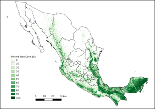 This image shows a map of Mexico with areas of green that represent estimates of tree cover in the country. To the left of the map is a legend with blocks of color that correspond to the estimates. Whiter areas have fewer trees where the areas of dark green have the most tree cover.