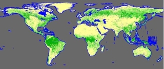 This map of 2019 Phased Array type L-band Synthetic Aperture Radar (PALSAR) data shows forested (green) and non-forested areas around the globe. 