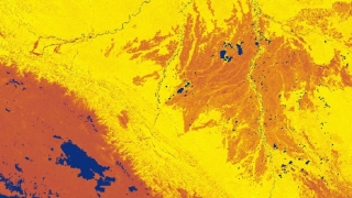 This image of the area in the vicinity of Peru’s Lake Titicaca (on June 29, 2023) shows data from the VIIRS Fraction of Photosynthetically Active Radiation (FPAR) Version 2 product. FPAR shows the fraction of incoming solar energy absorbed through photosynthesis. Areas in yellow correspond to the areas of greatest absorption while the dark brown corresponds to areas of the least. Blue areas show the location of water bodies. 