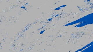 An image from the MODIS Terra Annual Water Mask dataset.