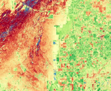 Global HLS-Derived Vegetation Indices Suite