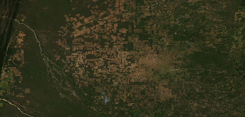 True color image of Agricultural Fields in Paraguay on 25 May 2020 (Aqua/MODIS)