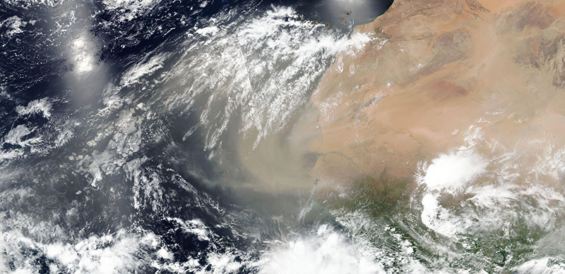 True color satellite image of dust blowing off the coast of western Africa on 14 June 2020 (Suomi NPP/VIIRS)
